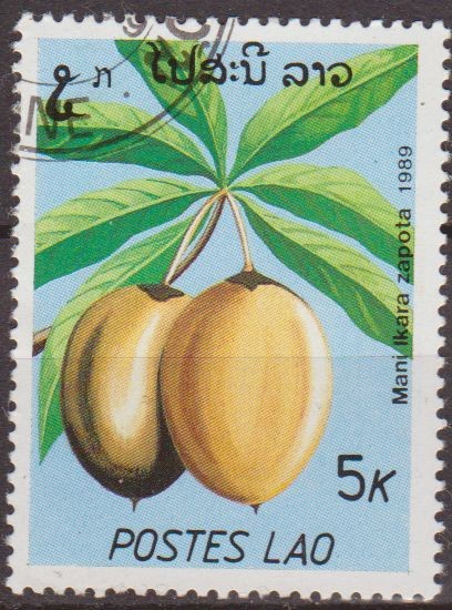 LAOS 1989 Scott 949 Sello Nuevo Frutas ManiIkara Zapota Matasello de favor Preobliterado Michel1169 