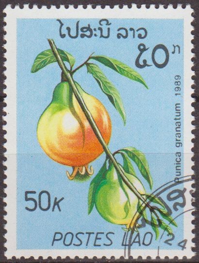 LAOS 1989 Scott 953 Sello Nuevo Frutas Granado Punica Granatum Matasello de favor Preobliterado