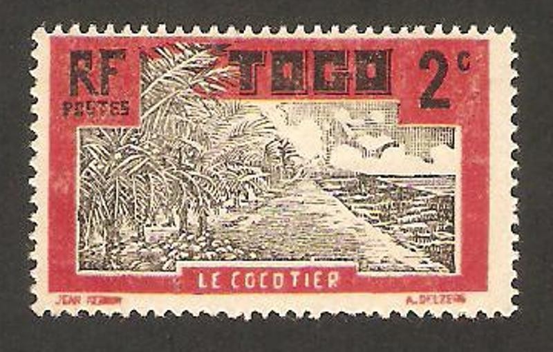 Plantación de cocos