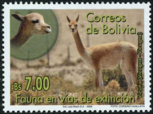 Fauna en vias de Extincion - Vicuñas y Lagartos