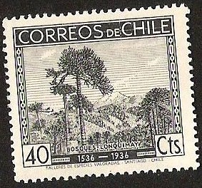 CENTENARIO DESCUBRIMIENTO DE CHILE - BOSQUES LONQUIMAY - ARAUCARIAS