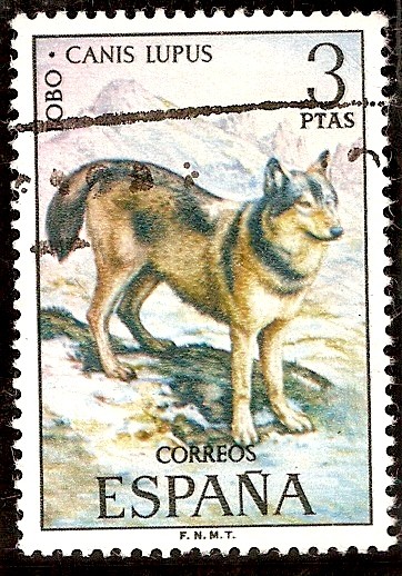 Fauna. Lobo