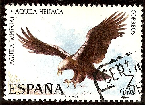 Fauna. Aguila imperial