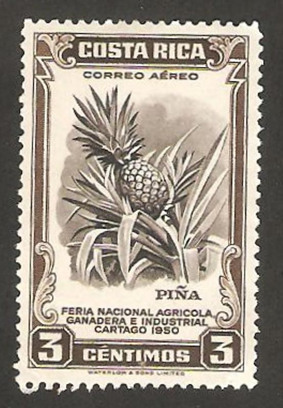 feria nacional agrícola, una piña