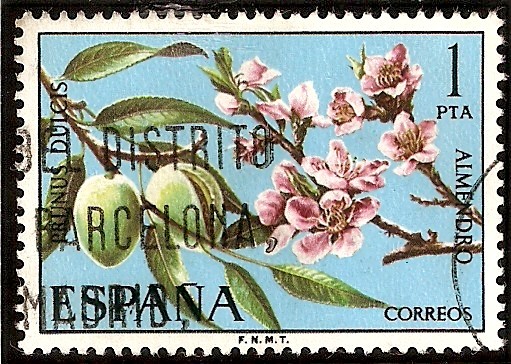 Flora - Almendro