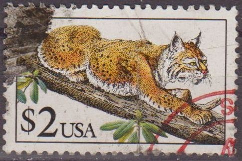 USA 1990 Scott 2482 Sello Fauna Gato Montes usado Estados Unidos Etats Unis 