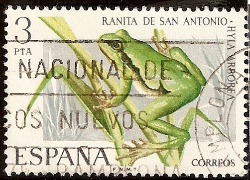 Fauna Hispánica - Ranita de San Antonio