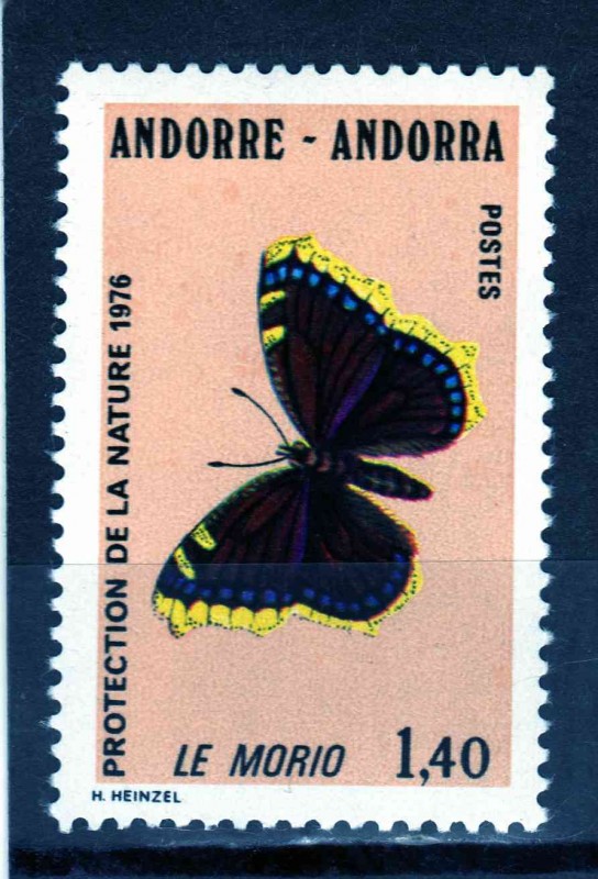 mariposa