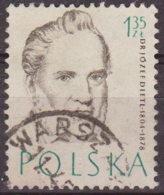 Polonia 1957 Scott 774 Sello Retratos Doctores Josef Dietl Usado Polska Poland Polen Pologne 