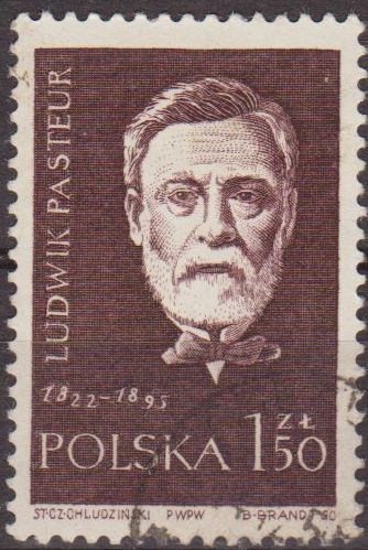 Polonia 1959 Scott 883 Sello º Cientificos Louis Pasteur