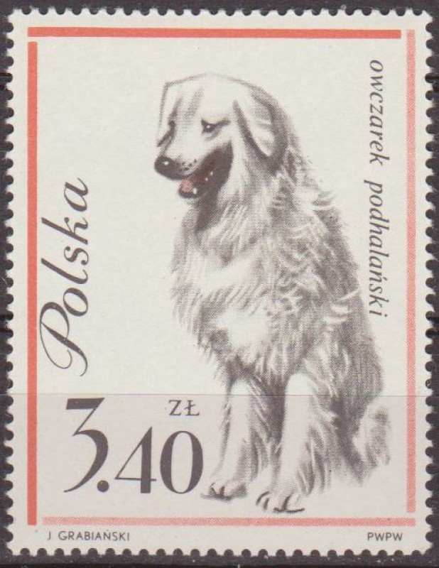 Polonia 1963 Scott 1122 Sello Nuevo Fauna Perros Pastor de las Islas ShetlandSheep Dog Polska Poland