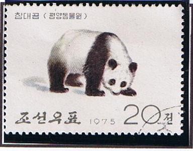 Oso Panda