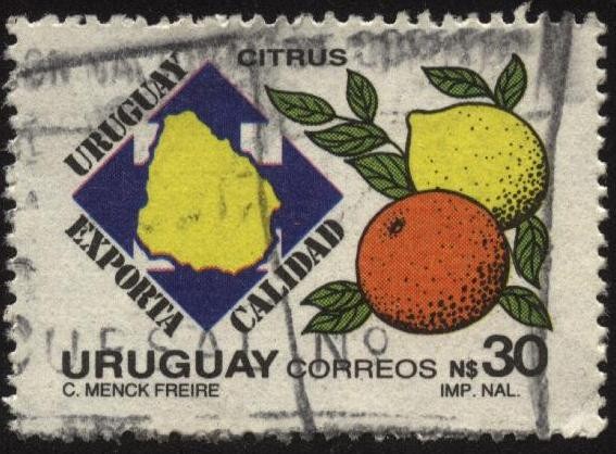 Naranja y limón. Citrus. Uruguay exporta calidad.