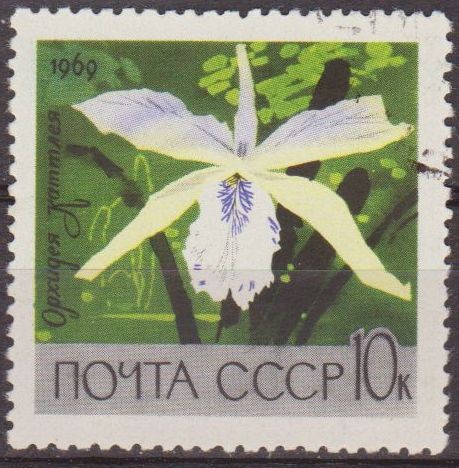 Rusia URSS 1969 Scott 3598 Sello Flora Flor Orquidea Gattleya Usado Russia 