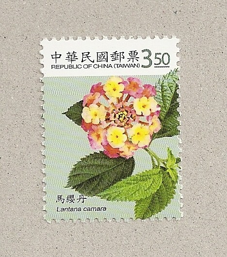 Lantana camara