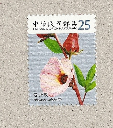 Hibiscus sabdariffa