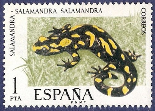 Fauna Hispanica