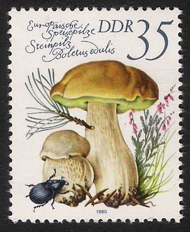 SETAS-HONGOS: 1.152.025,02-Boletus edulis -Dm.980.83-Y&T2214-Mch.2555-Sc.2141