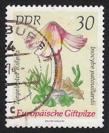 SETAS-HONGOS: 1.152.016,02-Inocybe patouillardii -Dm.974.32-Y&T1618-Mch.1938-Sc.1538