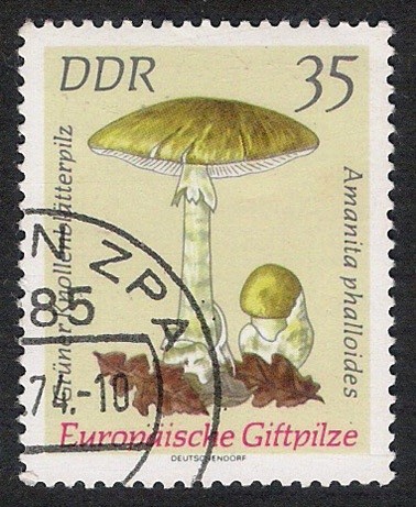 SETAS-HONGOS: 1.152.017,02-Amanita phalloides -Dm.974.33-Y&T1619-Mch.1939-Sc.1539