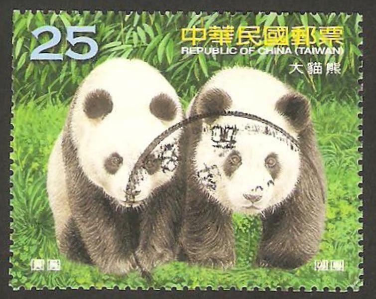 tuan tuan y yuan yuan, pandas gigantes del zoo de taipei