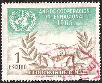 AÑO DE COOPERACION INTERNACIONAL