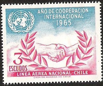 AÑO DE COOPERACION INTERNACIONAL