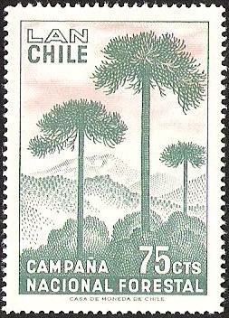 CAMPAÑA NACIONAL FORESTAL