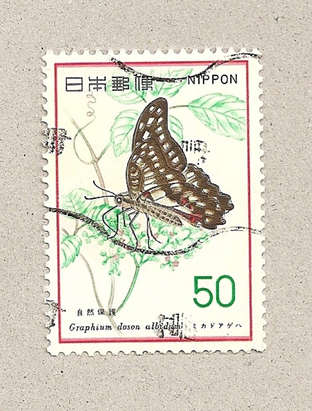 Mariposa Graphium doson