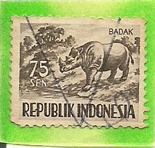 Badak