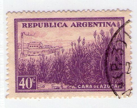 29  Caña de azucar 