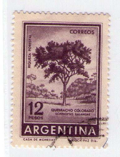 41  Quebracho colorado 