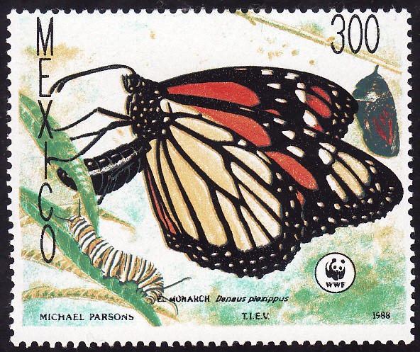 MARIPOSAS