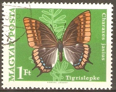 MARIPOSAS