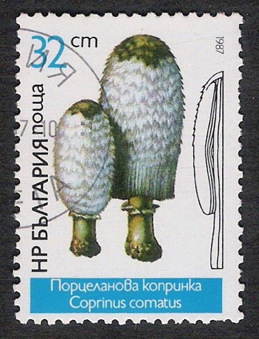 SETAS-HONGOS: 1.120.024,01-Coprinus comatus -Dm.978.7-Y&T.3074-Mch.3549-Sc.3235