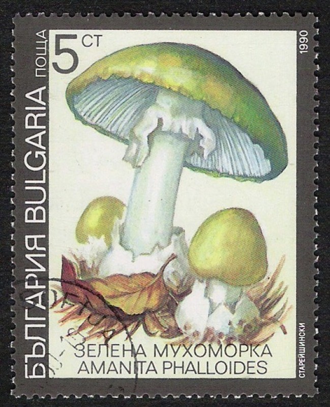 SETAS-HONGOS: 1.120.031,01-Amanita phalloides -Dm.991.7-Y&T.3352-Mch.3886-Sc.3597