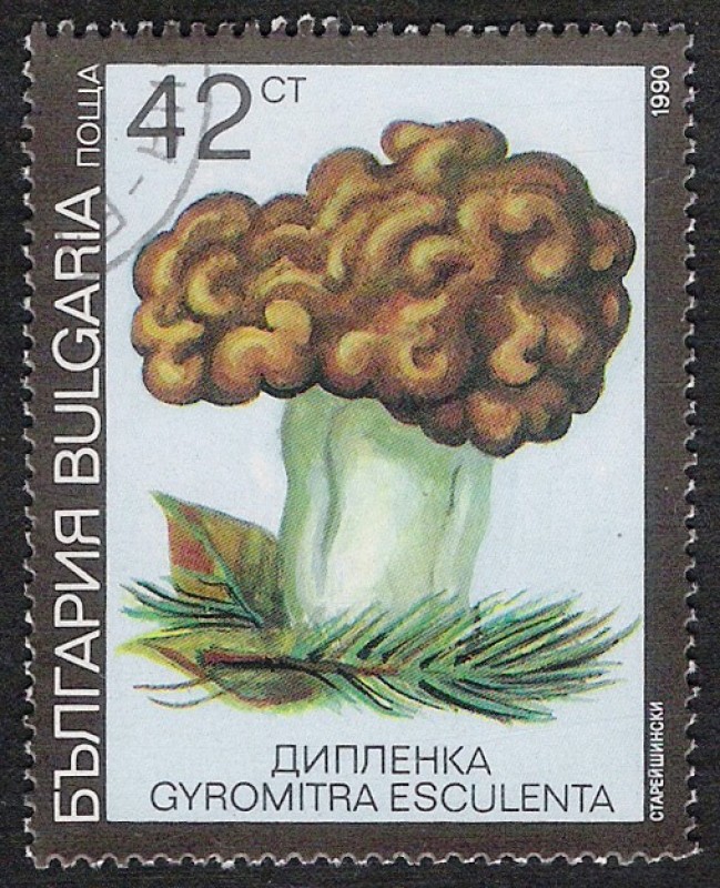 SETAS-HONGOS: 1.120.035,01-Gyromitra esculenta -Dm.991.11-Y&T.3356-Mch.3890-Sc.3601