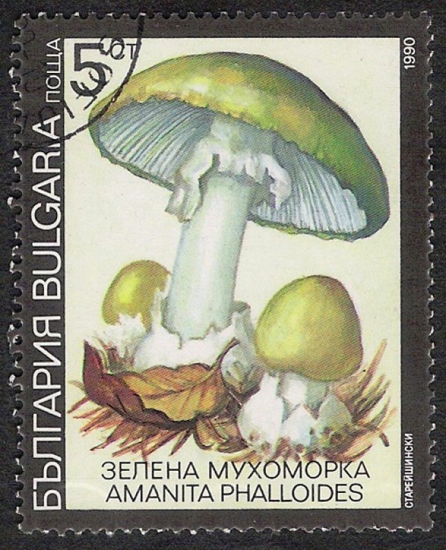 SETAS-HONGOS: 1.120.031,02-Amanita phalloides -Dm.991.7-Y&T.3352-Mch.3886-Sc.3597