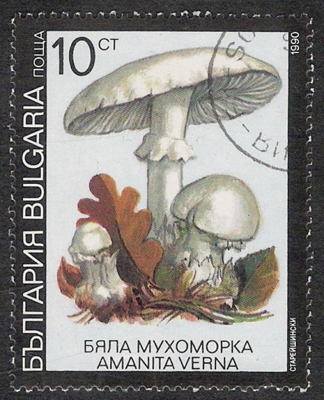 SETAS-HONGOS: 1.120.032,02-Amanita verna -Dm.991.8-Y&T.3353-Mch.3887-Sc.3598