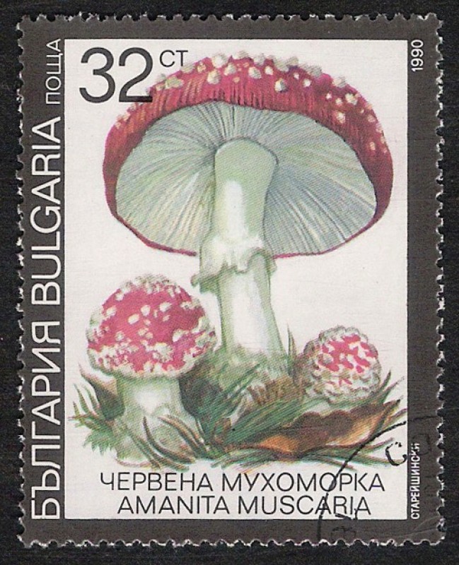 SETAS-HONGOS: 1.120.034,02-Amanita muscaria -Dm.991.10-Y&T.3355-Mch.3889-Sc.3600