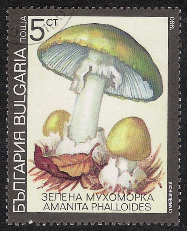 SETAS-HONGOS: 1.120.031,03-Amanita phalloides -Dm.991.7-Y&T.3352-Mch.3886-Sc.3597