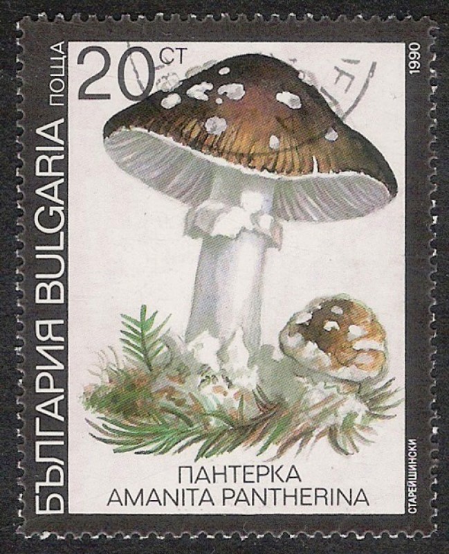 SETAS-HONGOS: 1.120.033,03-Amanita pantherina -Dm.991.9-Y&T.3354-Mch.3888-Sc.3599