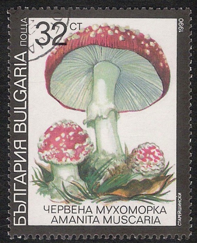 SETAS-HONGOS: 1.120.034,03-Amanita muscaria -Dm.991.10-Y&T.3355-Mch.3889-Sc.3600