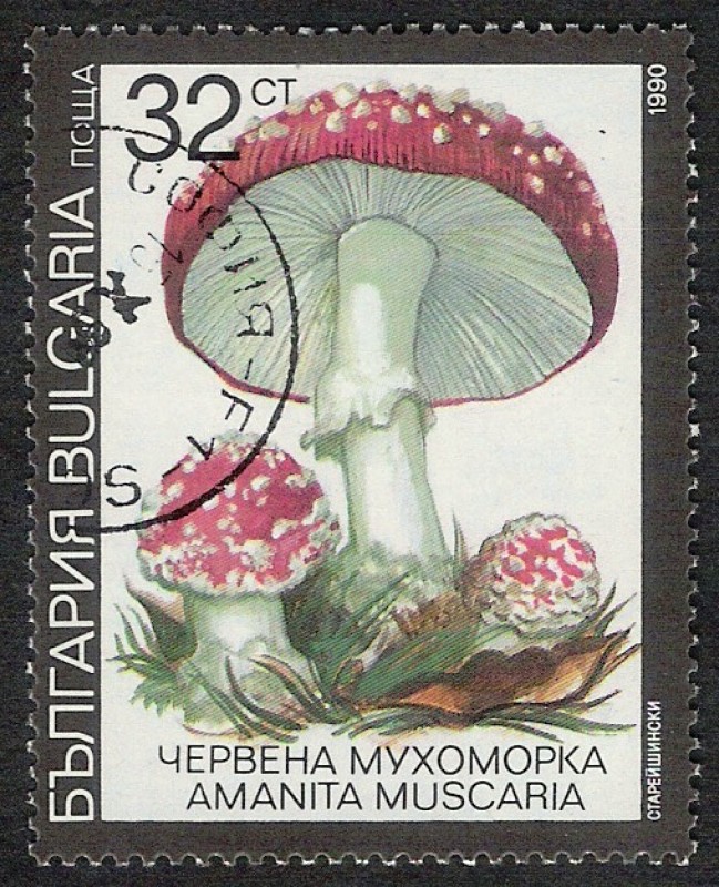 SETAS-HONGOS: 1.120.034,04-Amanita muscaria -Dm.991.10-Y&T.3355-Mch.3889-Sc.3600