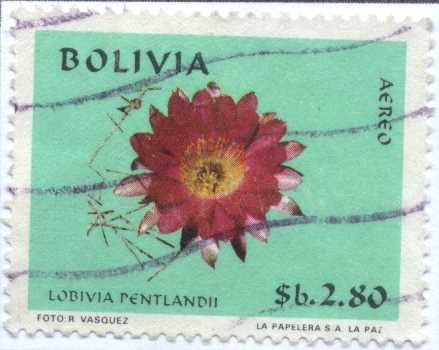 Flora Boliviana, Serie 2