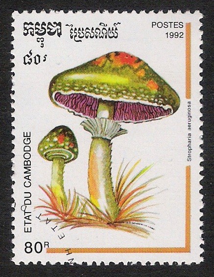 SETAS-HONGOS: 1.124.003,00-Stropharia aeruginosa