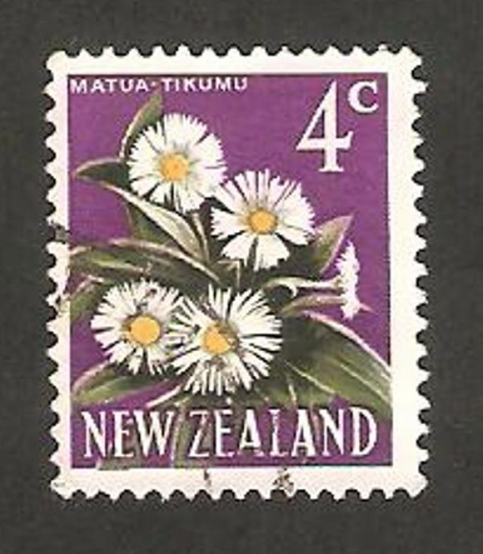 flor matua tikumu