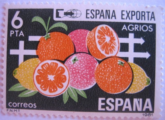 españa exporta