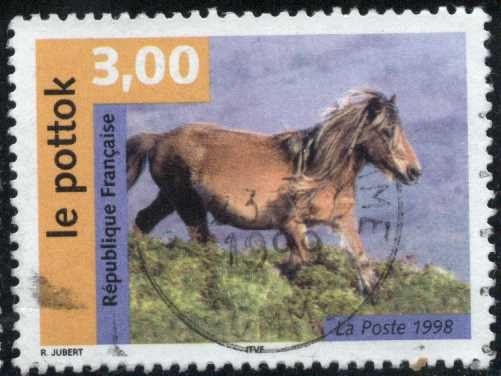 Caballo