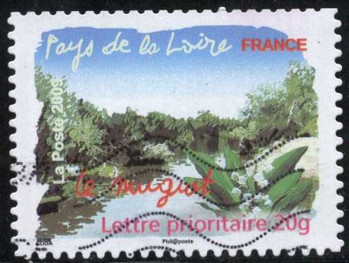 Flora del Norte - Pays de la Loire, tordo